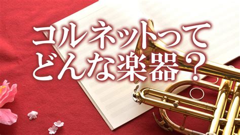 今さら聞けない「ニューハーフ」ってどんな意味？「トランスジ…